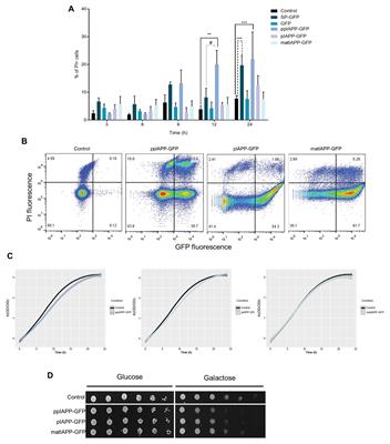 Heterologous Expression of Immature Forms of Human Islet Amyloid Polypeptide in Yeast Triggers Intracellular Aggregation and Cytotoxicity